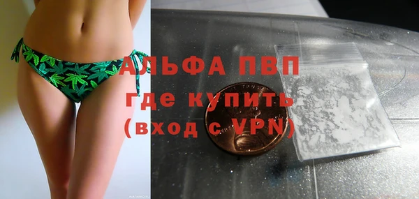 хмурый Алексин