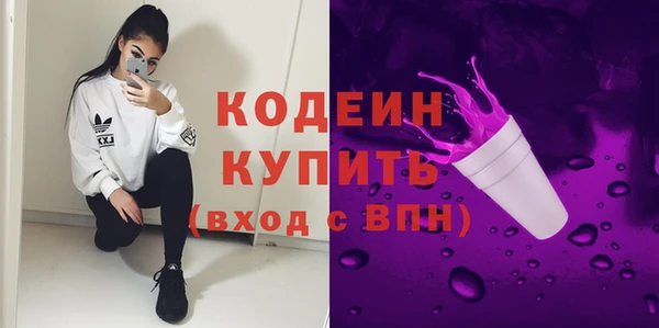 прущий лед Алзамай
