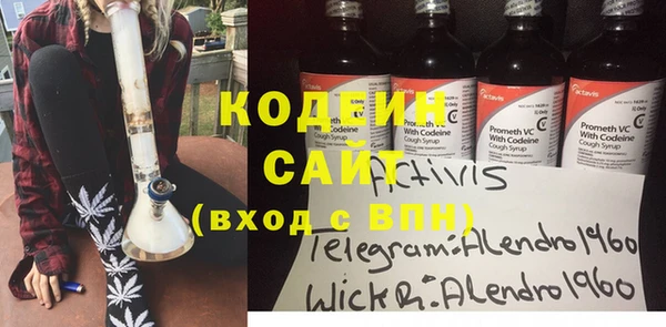 хмурый Алексин