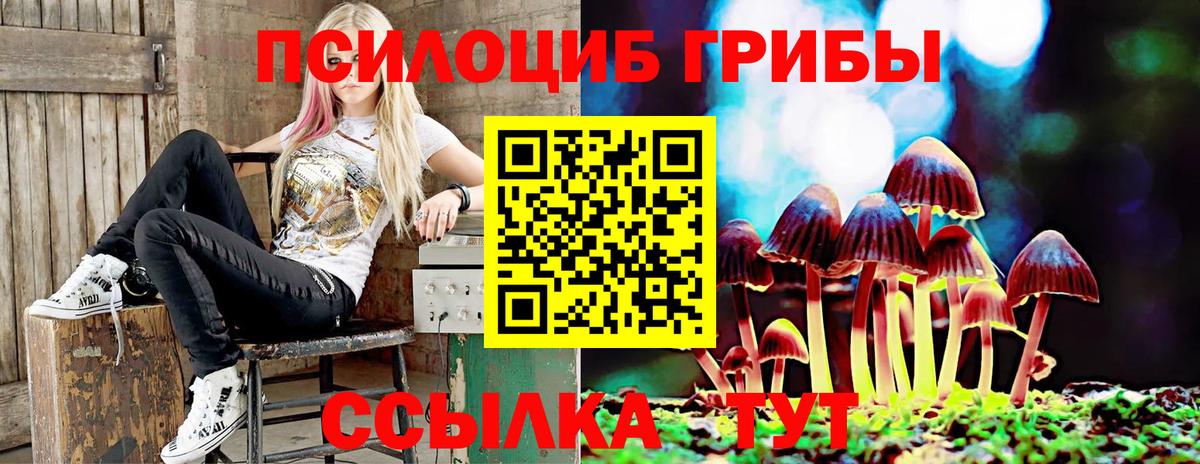 Псилоцибиновые грибы MAGIC MUSHROOMS  Вход с VPN  Строитель  Галлюциногенные грибы Psilocybine cubensis 