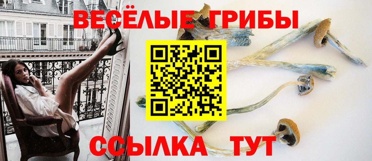 Псилоцибиновые грибы MAGIC MUSHROOMS Строитель